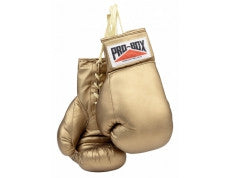 GOLDEN AUTOGRAPH GLOVES